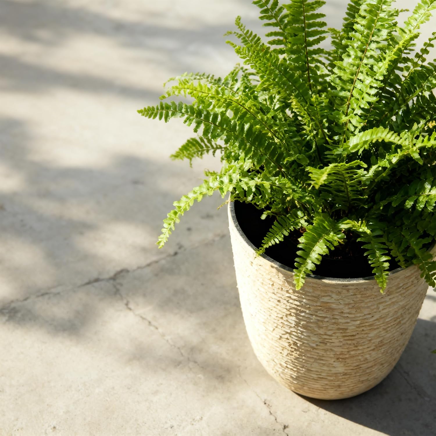Worth 9 Gallon Tall Round Planters Set of 2-14" Dia x 21" H Stone Finish Flower Pots Indoor Decorative Container Garden