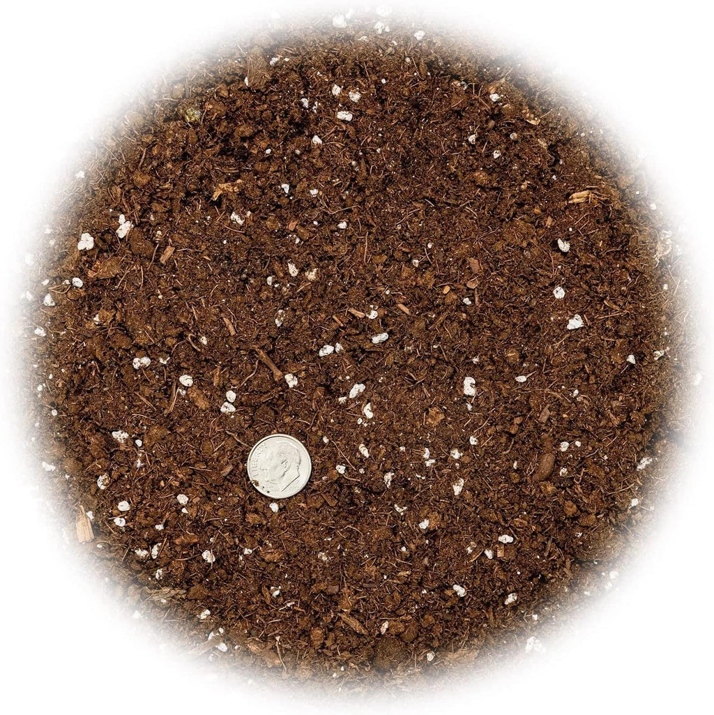 Premium Dracaena Potting Soil Mix - (10 Quart Bag)