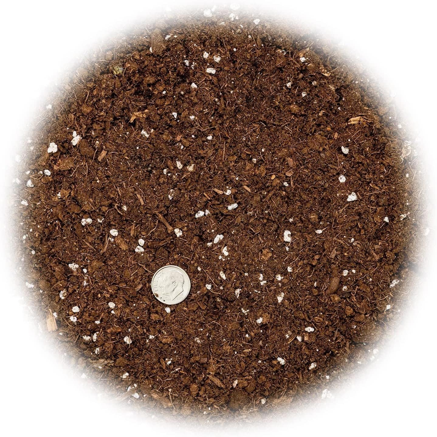 Premium Dracaena Potting Soil Mix - (10 Quart Bag)