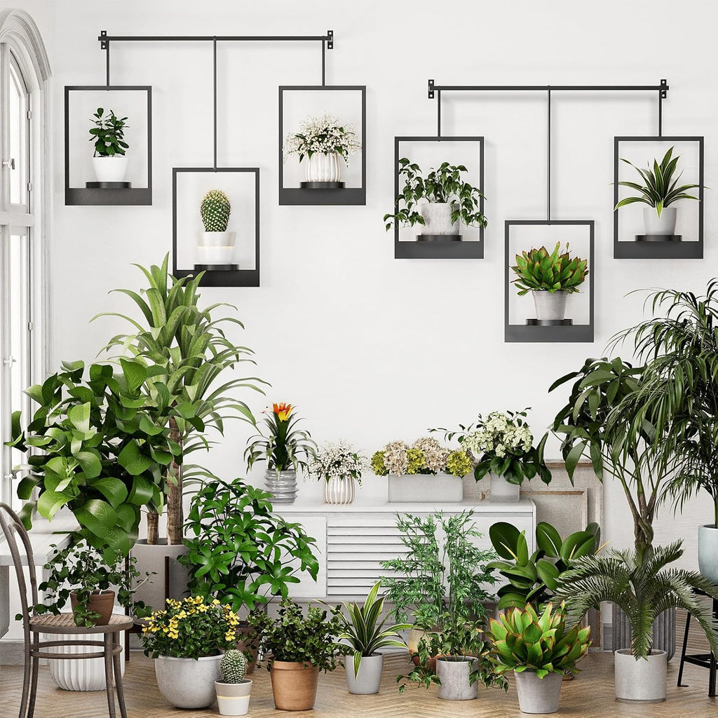 Wall Planters for Indoor Plants Wall Plant Holder Frame Plant Wall Hanger Window Plant Hanger for Livingroom Entryway