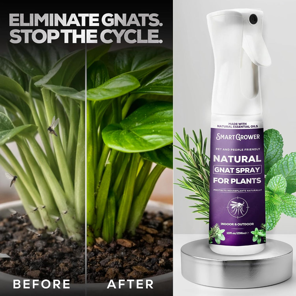 Natural Gnat Spray for Plants, Continuous Fine Mist, 10oz | Fungus Gnat Killer, Refillable, with Essential Oil Formula