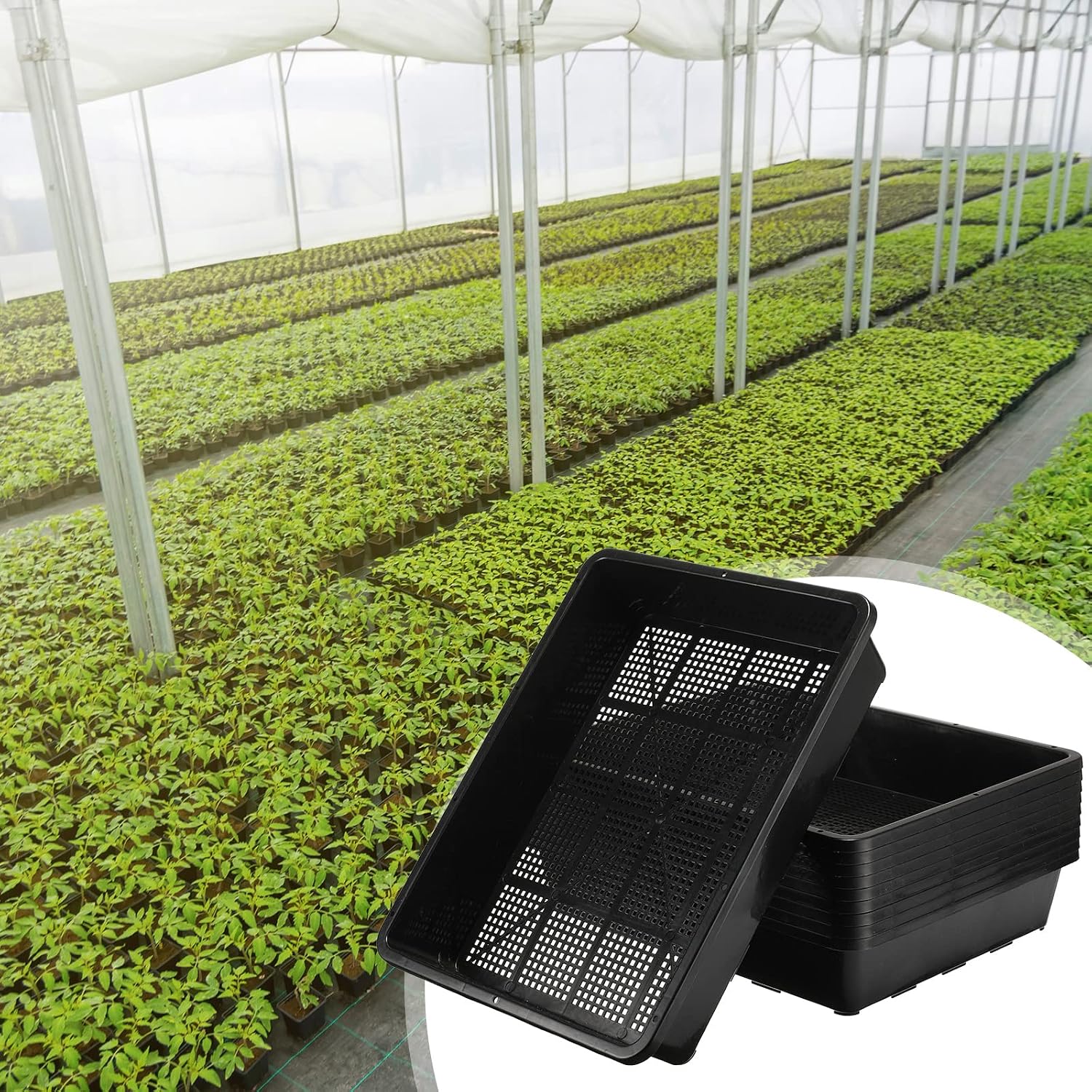 Aoriher 10 Set/20 pcs Mesh Bottom Trays and Trays mat, Soil Blocking Trays Seed Starting Trays Plastic Seedling Starter