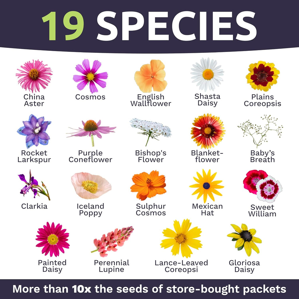 Cut Flower Garden Seeds - Bulk 1/4 Pound Bag - Over 30,000 Fresh Open Pollinated Non-GMO Wildflower Seeds - Long