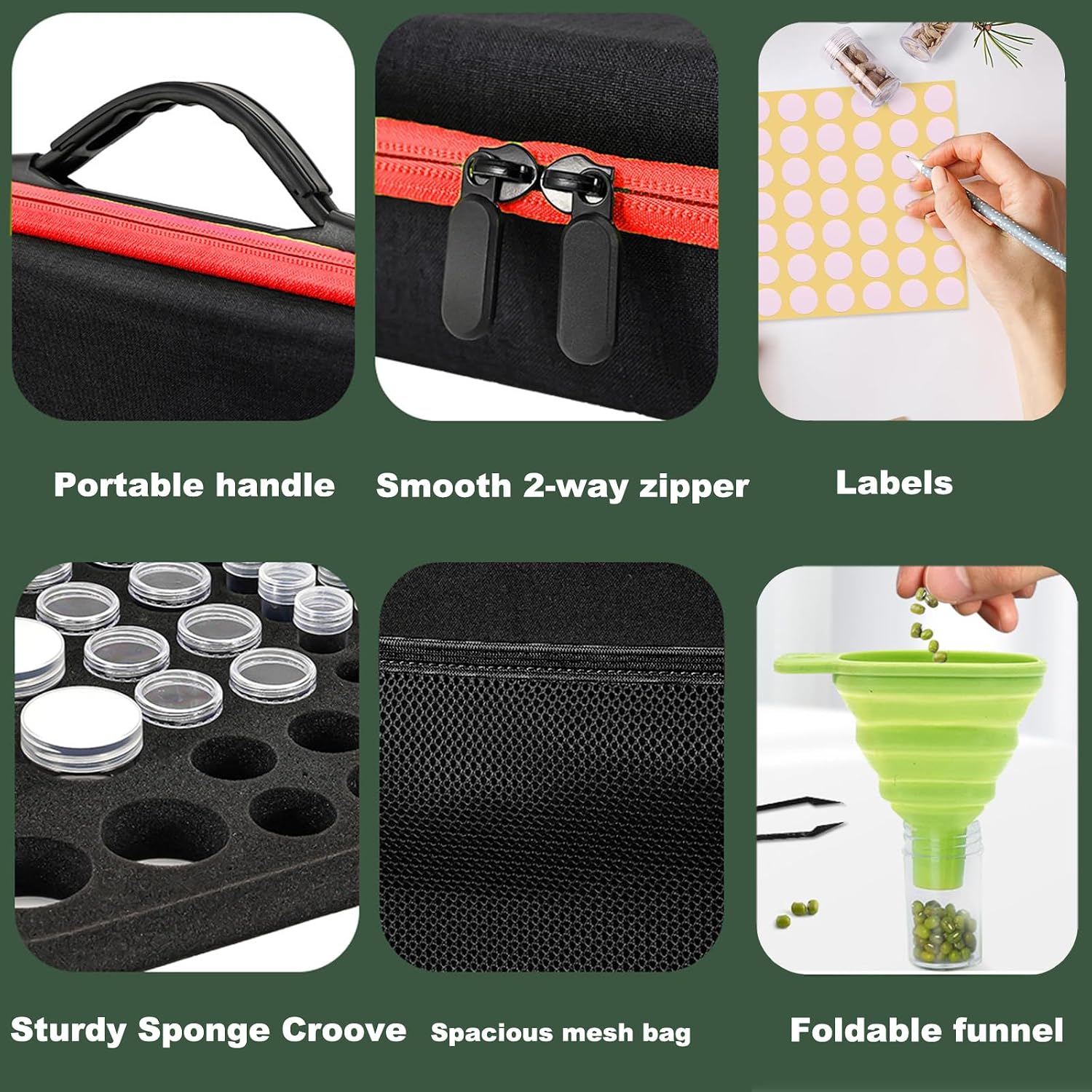 Seed Organizer Storage Box | 60 Slots Seed Organizer For Categorizing And Storing Seed (seed not included)
