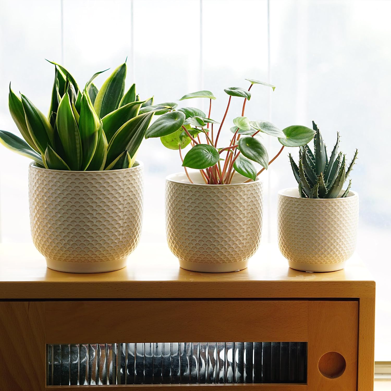4 + 5 + 6 Inch Ceramic Pots for Indoor Plants, Succulents Plant Pots, Orchid Flower Pot with Drainage Hole, Modern Clay