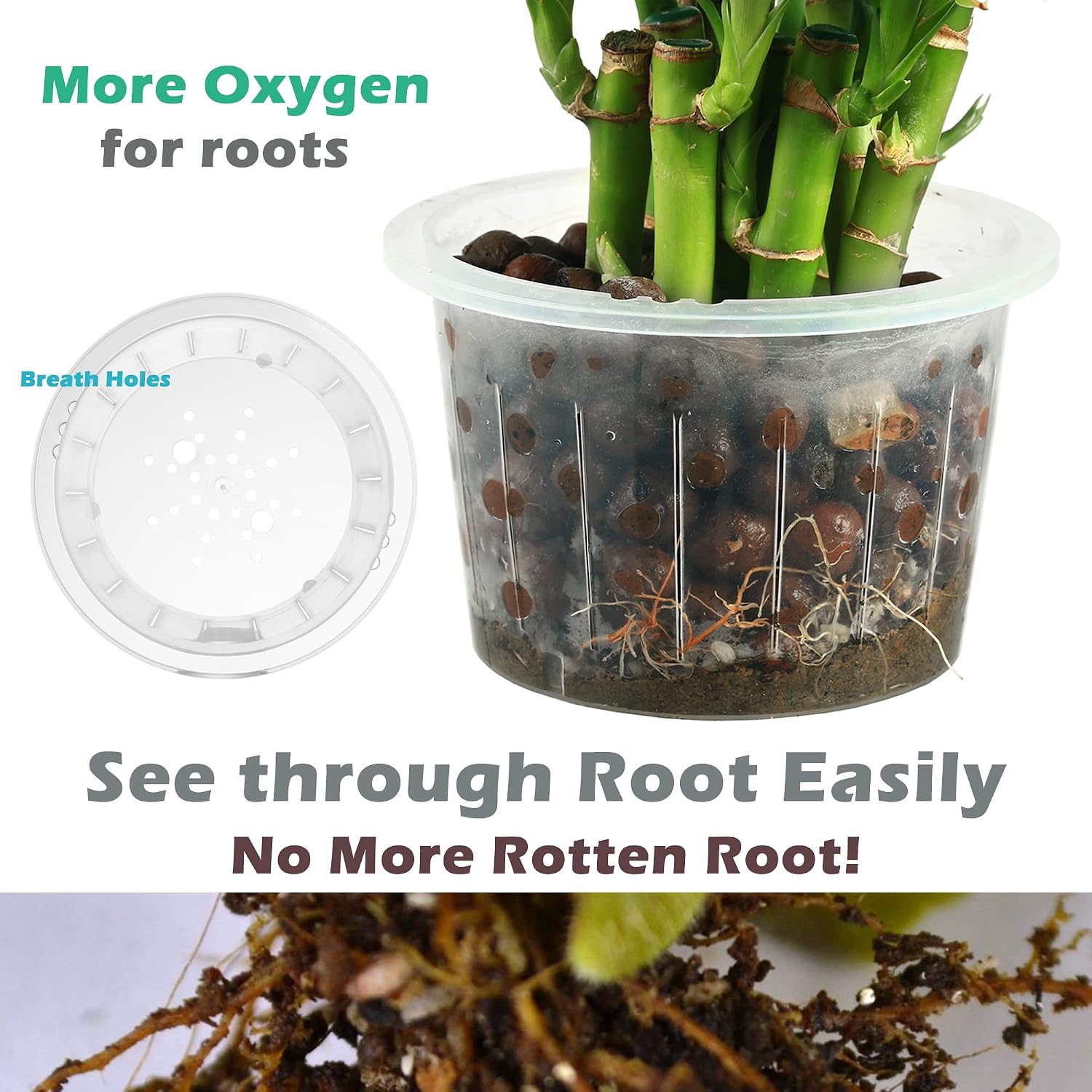 6 Pack 6.7" Self-Watering Planters Flower Pots for Indoor Garden Devil's Ivy, African Violet, Ocean Spider Plant