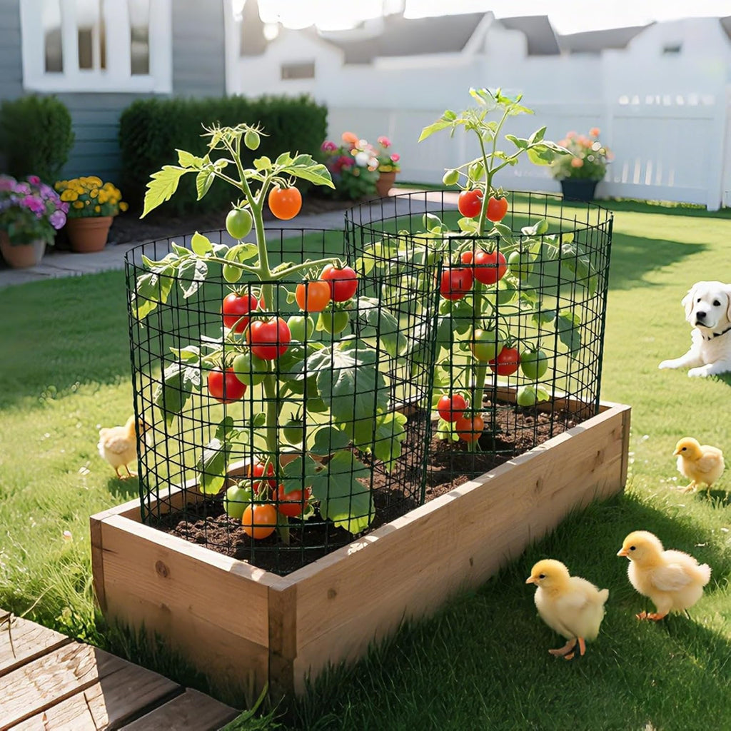 8 Pack 13.8x12 inch Plant Protector, Wire Garden Cages with Stakes & Ties | Sturdy Rust-Proof Plant Protection Keeps