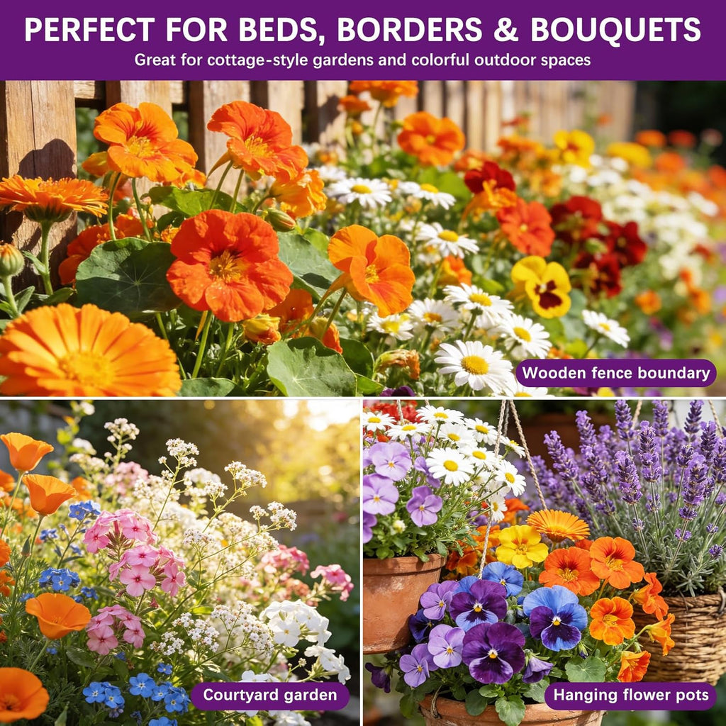 Wildflower Seeds Mix 1/2 lb, 19830+ Seeds Perennial& Annual 36 Varieties Flower Seeds for Planting，Non-GMO Heirloom