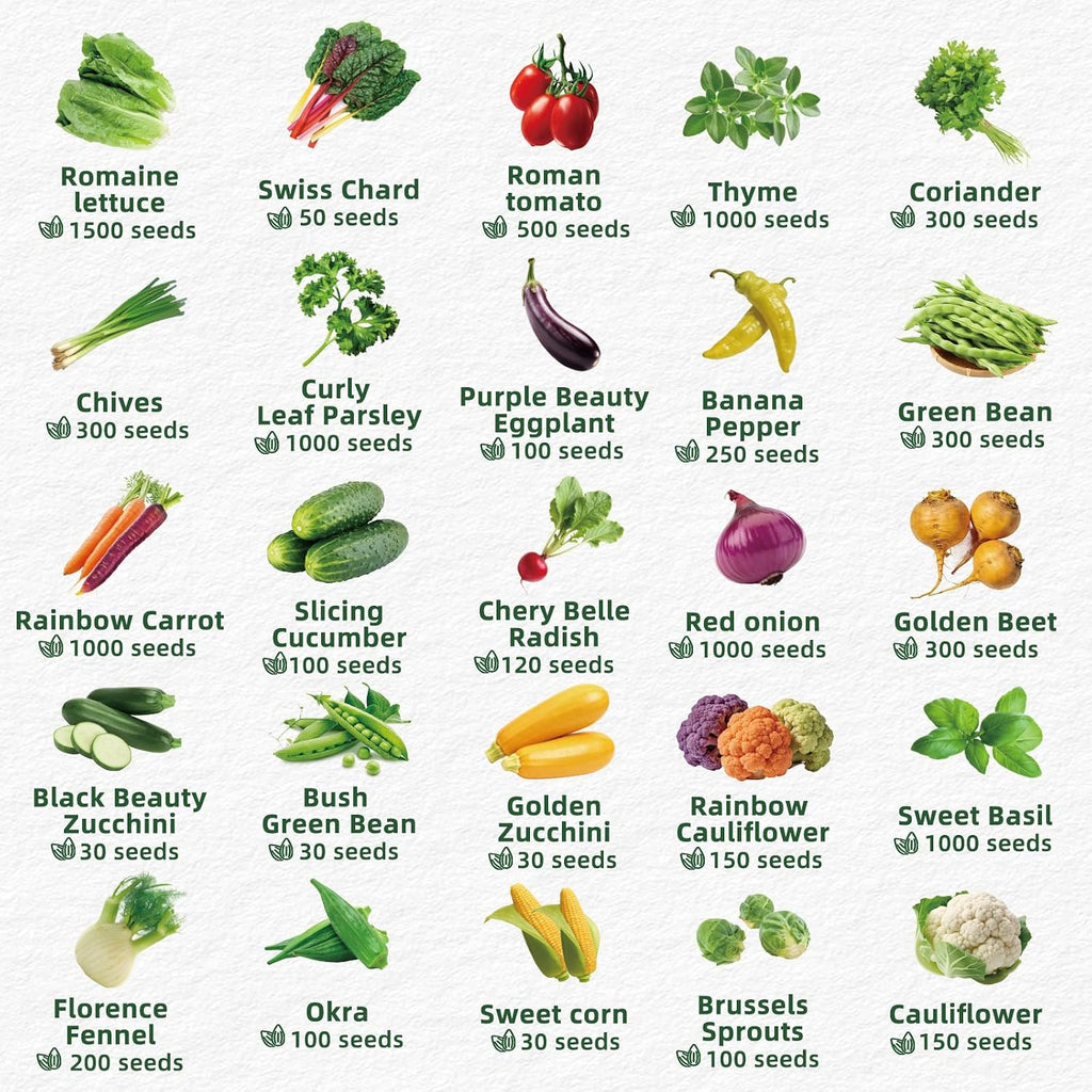Vegetable Heirloom Seeds Vault Kit | 40 Varieties | 20,000+ High Yield Garden Seeds | Sweet Basil, Cherry Tomato