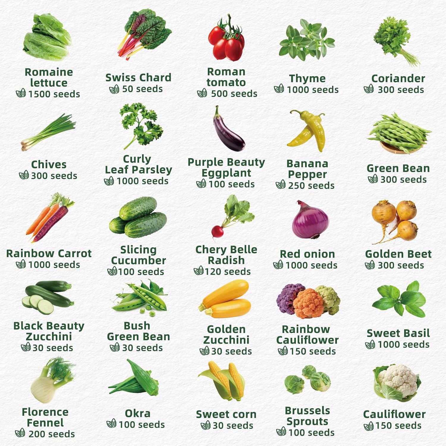 Vegetable Heirloom Seeds Vault Kit | 40 Varieties | 20,000+ High Yield Garden Seeds | Sweet Basil, Cherry Tomato