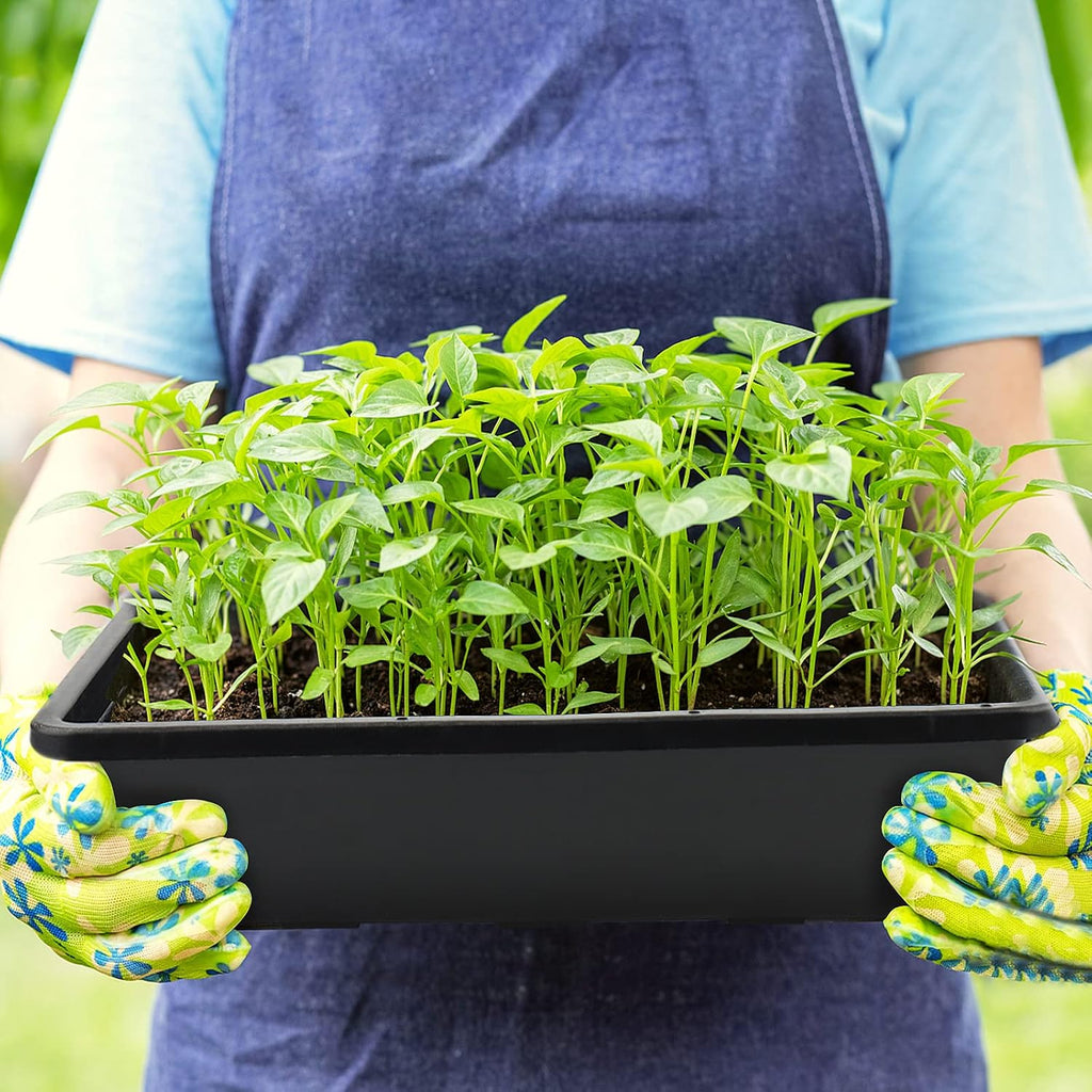 14 Pack 15 x 12 Inch Seed Starter Trays, Plastic Garden Mesh Bottom Plant Germination Trays, Black Growing Tray for