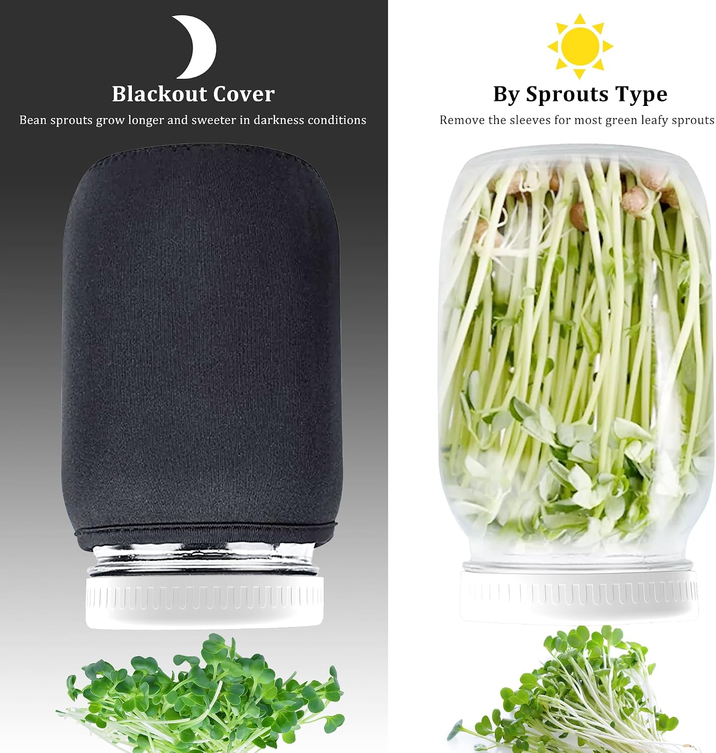 Organic Seed Sprouting Jar Kit – 2 × 32 oz Wide-Mouth Mason Jars with Stainless-Steel Sprouter Lids & Stand, Blackout