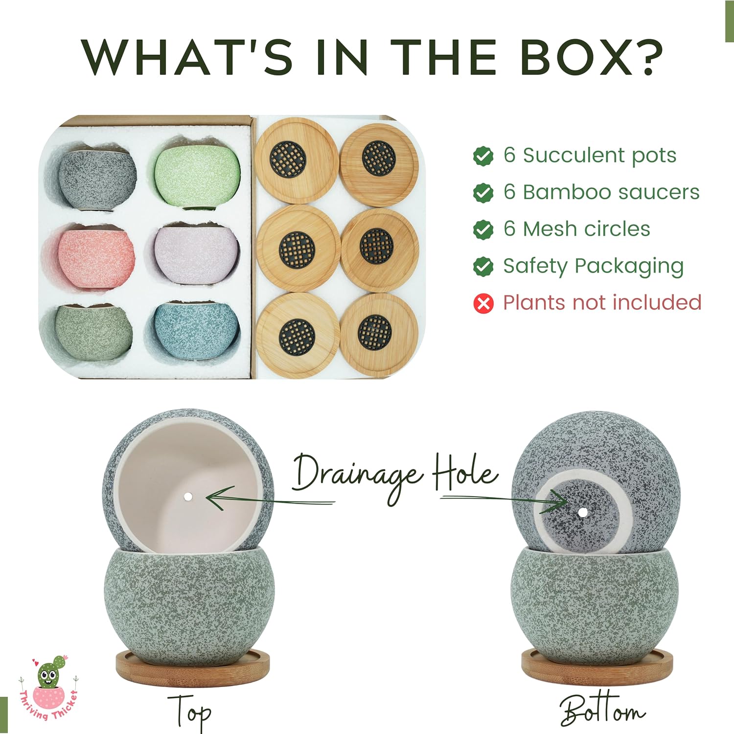 3 inch Ceramic pots for Plants, Small Succulent Pots Set with Drainage, 6 Pack Flower Pot for Indoor Plant, Planters