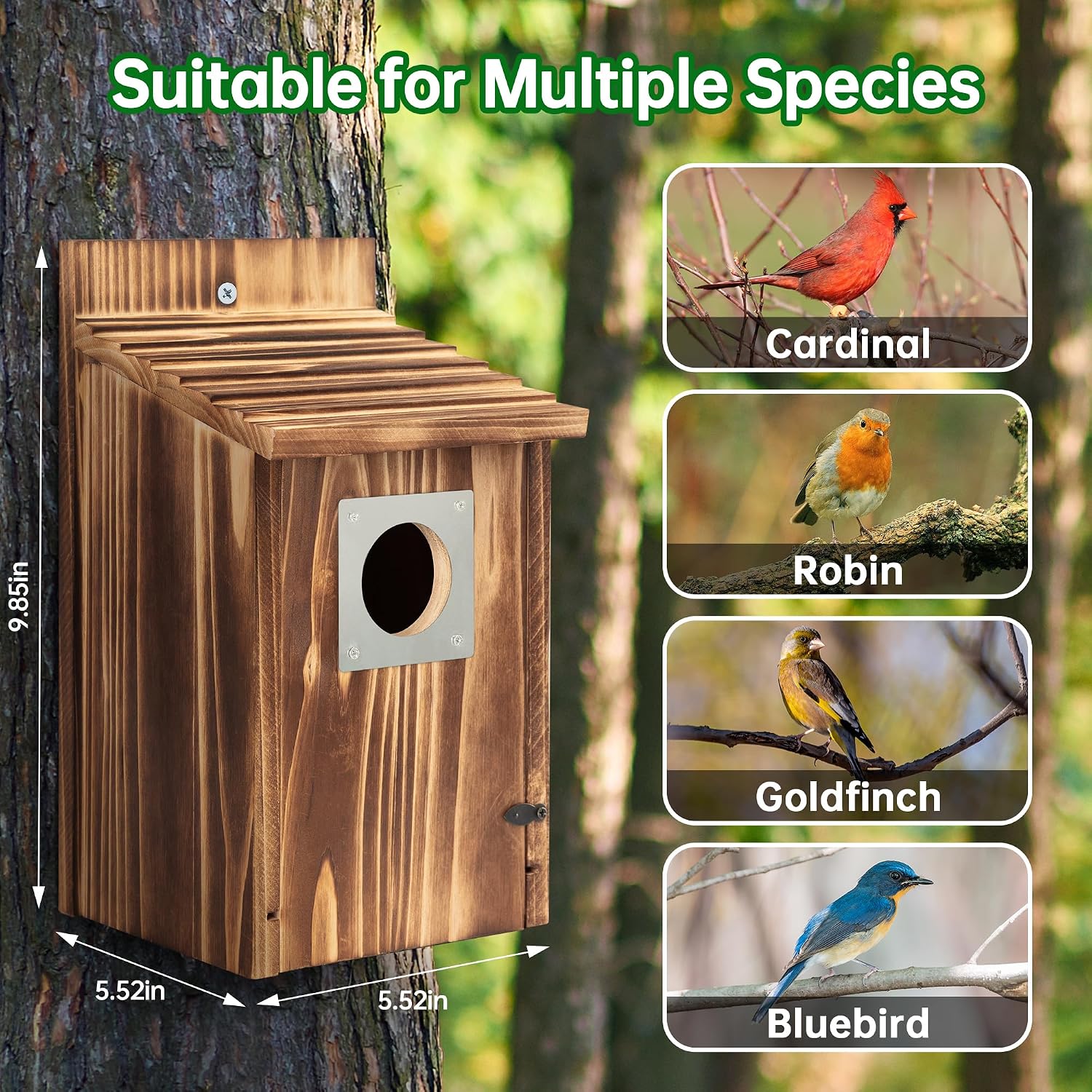 2 Pack Bird Houses for Outside with Metal Predator Guard for Bluebird Wren Swallow Finch, Carbonized Wooden Nesting