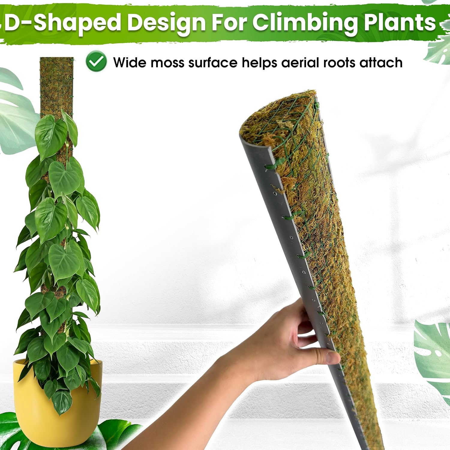 59" Large D-Shape Moss Pole for Big Climbing Plants, (1pc, 59'') | Rigid Support for Mature Plants with Heavy Stems