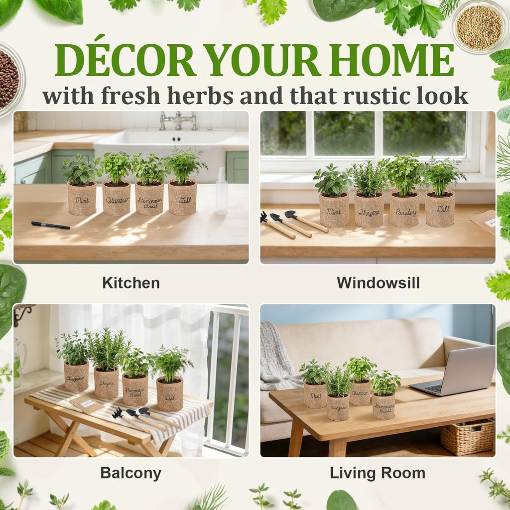Herb Indoor Window Garden Kit - House Plants Seeds - Best Unique Christmas Gift Ideas for Women, Friend, Birthday