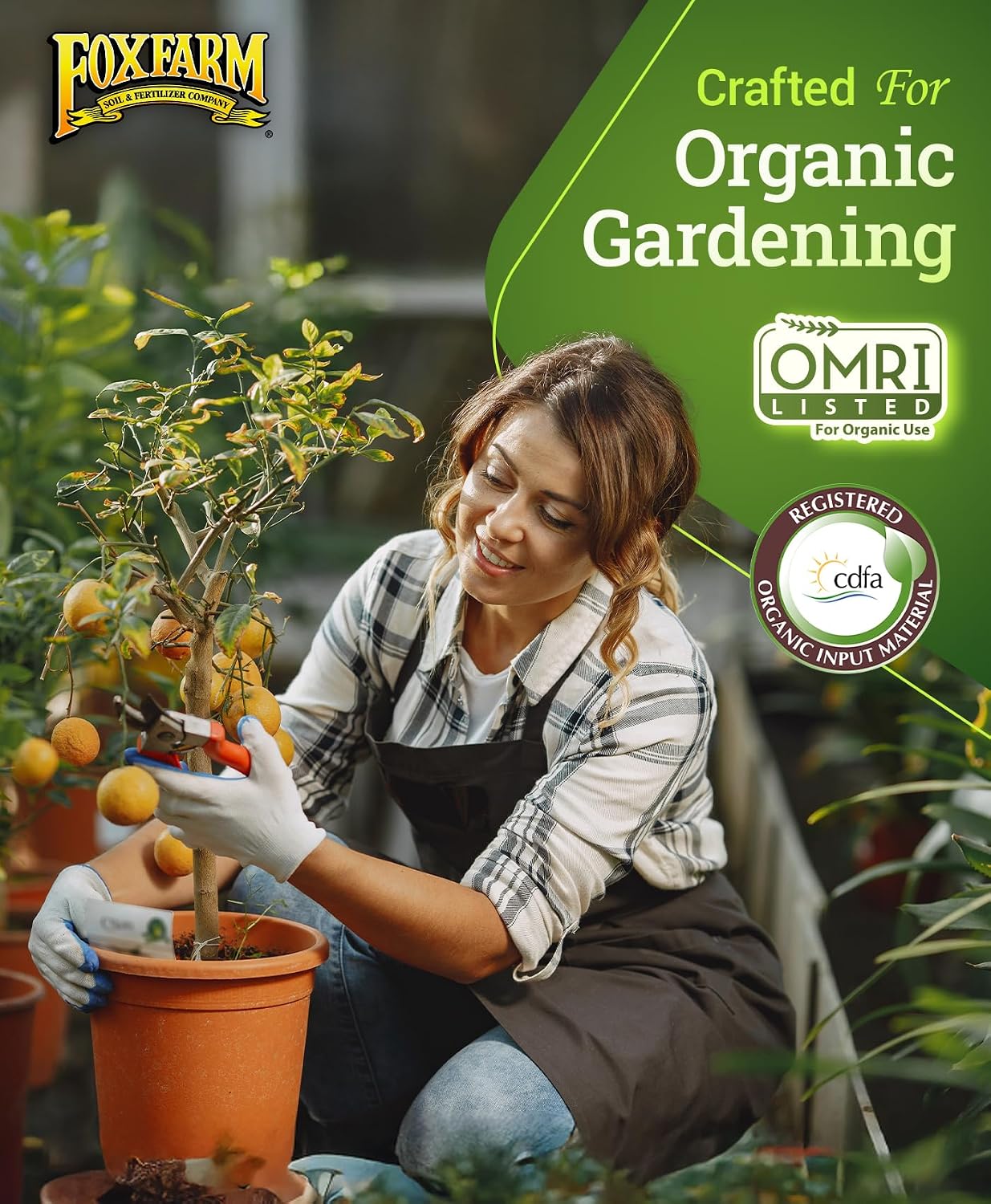FoxFarm Happy Frog Tomato & Vegetable Fertilizer - Vegetable Fertilizer for Vigorous Feeders, 5-7-3 Blend with Calcium