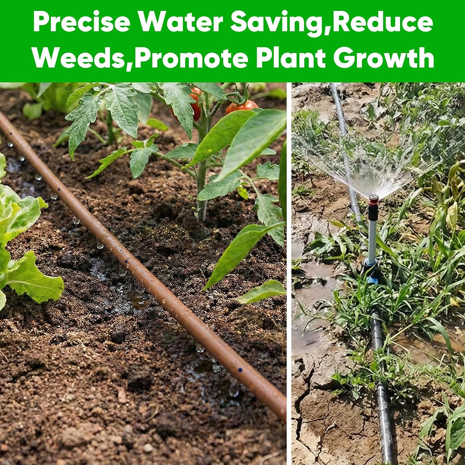 100FT 1/4" Irrigation Dripline Tubing with 6" Emitter Spacing for Gardens | Pre-Installed Emitters at Close Intervals