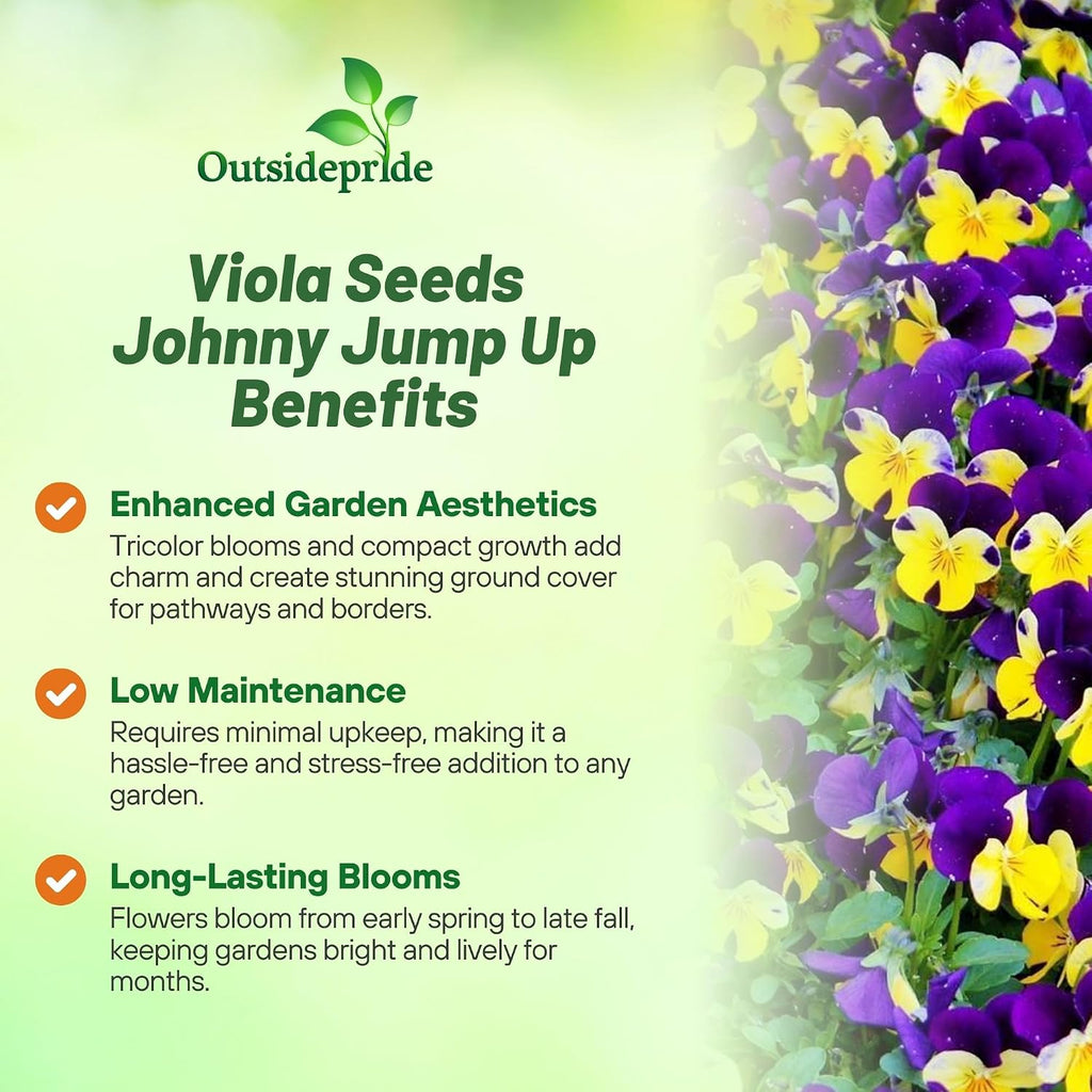 Outsidepride Johnny Jump Up Viola Wild Flower Seeds - 1/2 lb Easy-to-Grow, Compact & Hardy Perennial Seeds for Planting