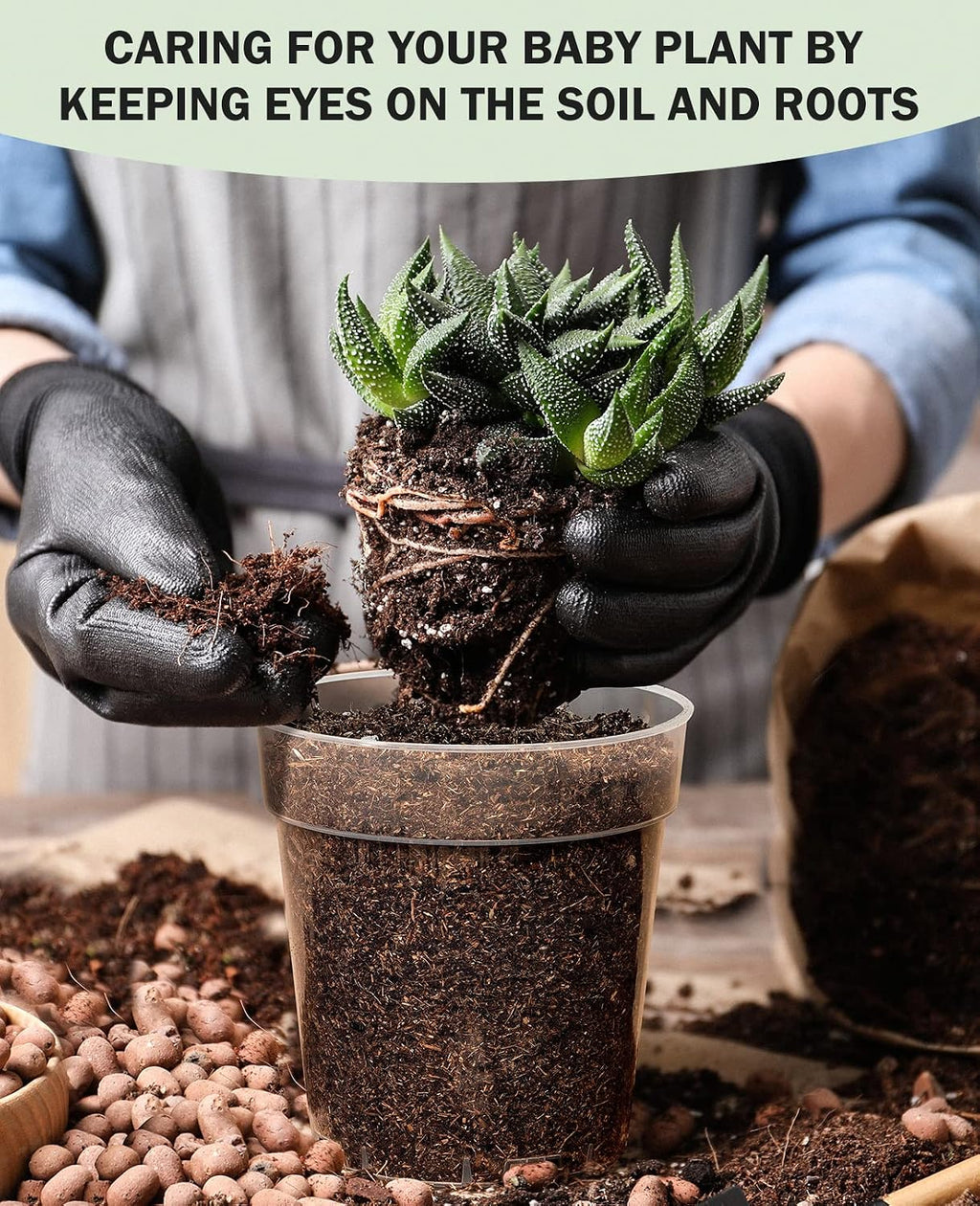 3/4/5 Inch Clear Nursery Pots with Domes for Propagation (15 Pcs) | Unique drainage holes and raised bases improve