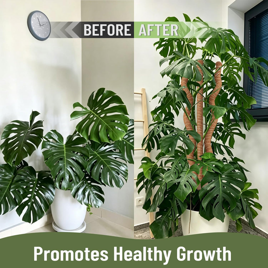 3-in-1 Moss Pole, Bendable 30IN Monstera Plant Support for Indoor-2 Pack | 3 Integrated Moss Poles for Climbing Plants