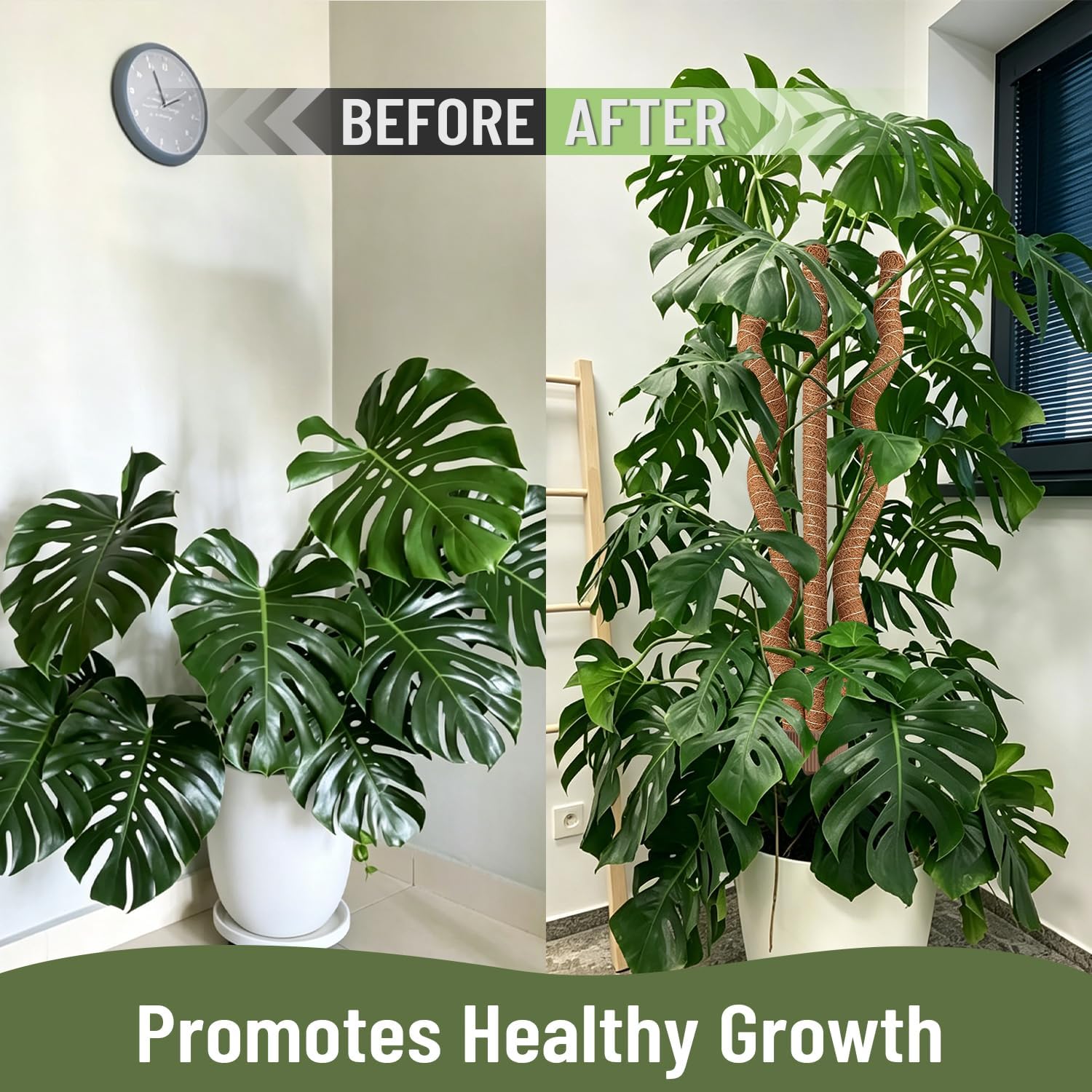 3-in-1 Moss Pole, Bendable 30IN Monstera Plant Support for Indoor-2 Pack | 3 Integrated Moss Poles for Climbing Plants