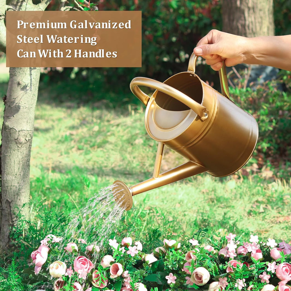 1 Gallon Metal Watering Can for Outdoor&Indoor Plants | Removable Sprinkler Head,Made of Premium Galvanized
