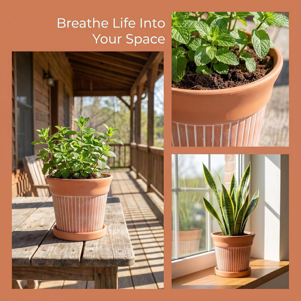 Cedilis 2 Pack Terracotta Pots, 6 inch Red Clay Pots with Drainage and Saucers, Terra Cotta Planter for Garden Cactus