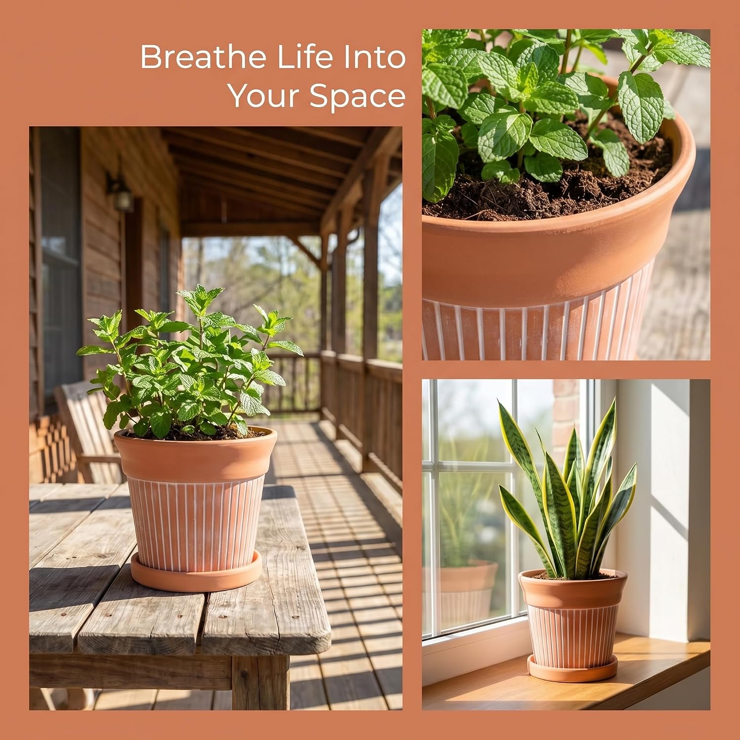 Cedilis 2 Pack Terracotta Pots, 6 inch Red Clay Pots with Drainage and Saucers, Terra Cotta Planter for Garden Cactus