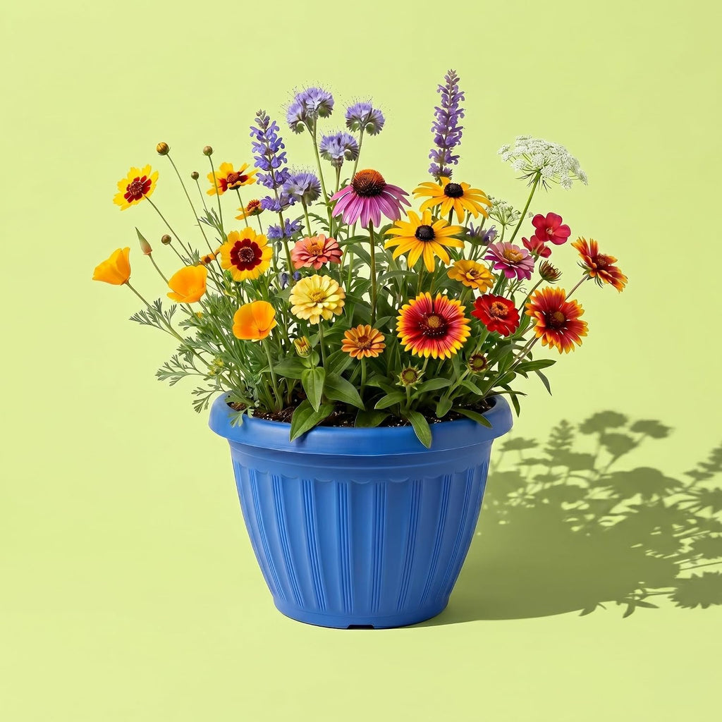 Buzzy Seeds Chaos Garden Grow Kit 3-Pack - Decorative Planter - Complete Indoor/Outdoor Gardening Kit with Seeds