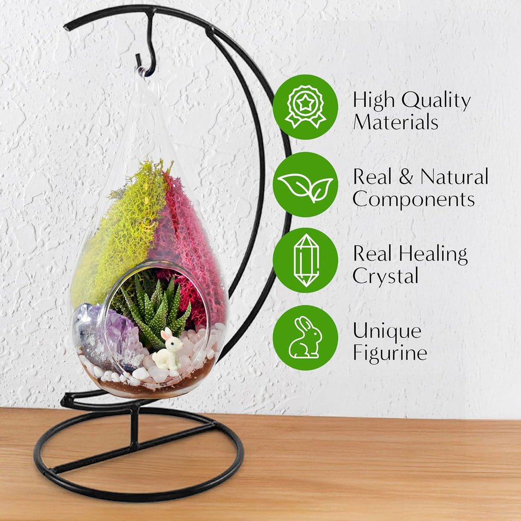 Creations by Nathalie 7" Teardrop Glass Terrarium Kit DIY Succulent Decor
