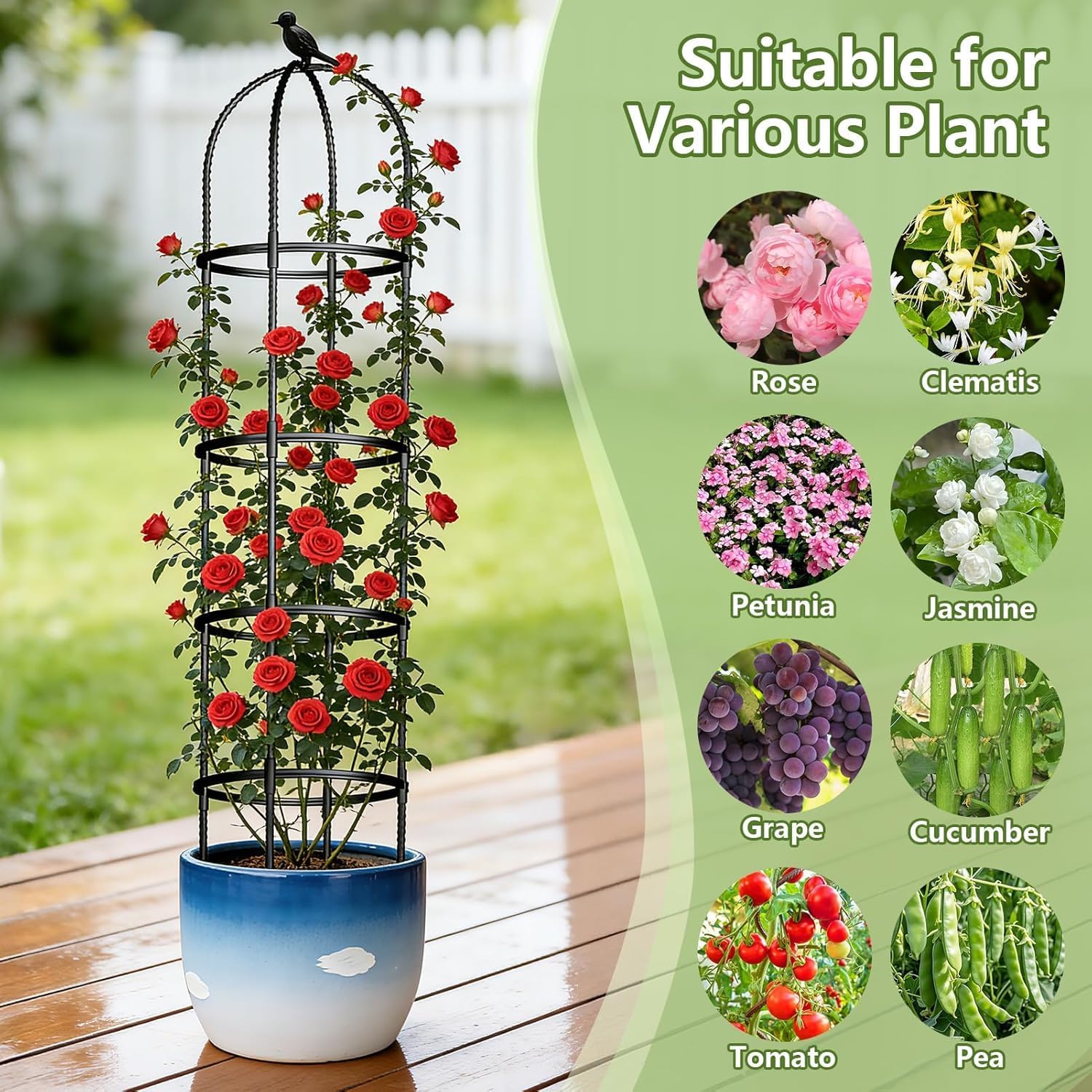 Obelisk Trellis for Garden Plants Climbing: 6ft Rustproof Metal Pipe with Plastic Coated - Potted Plant Climber Support