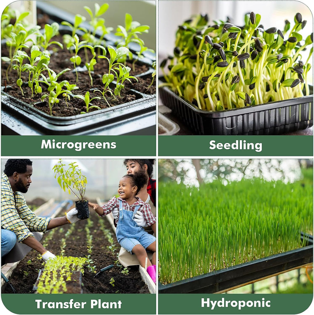 Sckee Upgraded 10 Pack Plant Growing Trays Seed Starting Tray Microgreens Growing Trays Seedling Plant Germination