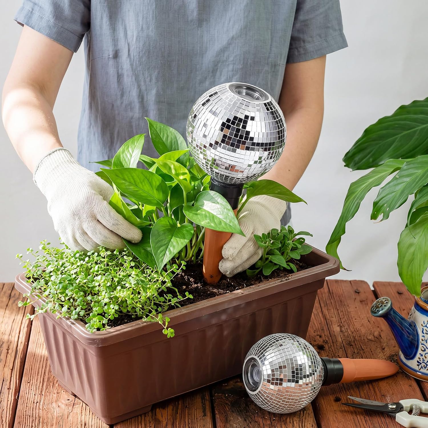 Pangda 2 Pack Disco Self Watering Spikes 15oz Plant Watering Globes with Disco Ball Decor Slow Release Vacation Insert