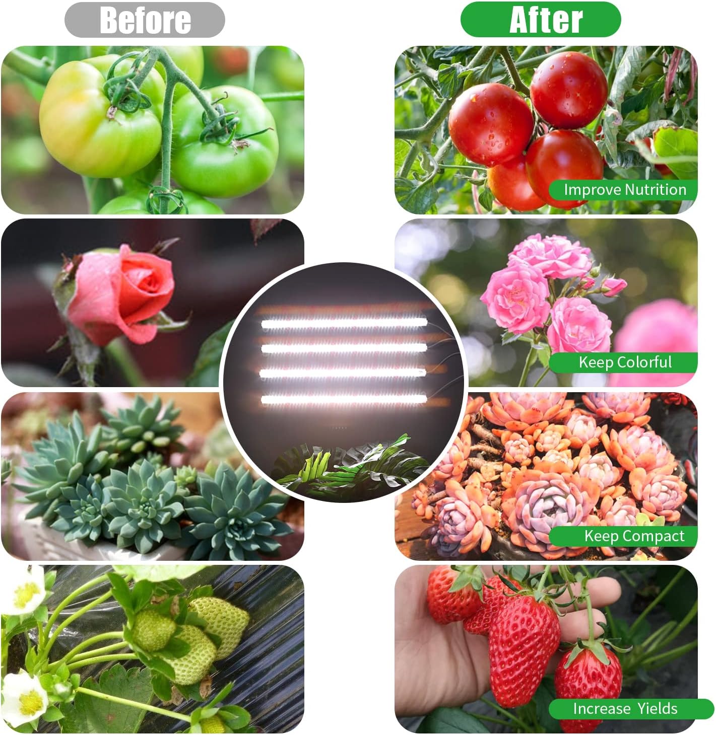 RWNTAO Grow Lights for Indoor Plants, 13" Grow Light Strips with Timer 3/9/12 H, 10 Dimmable Levels, 192 LEDs Full