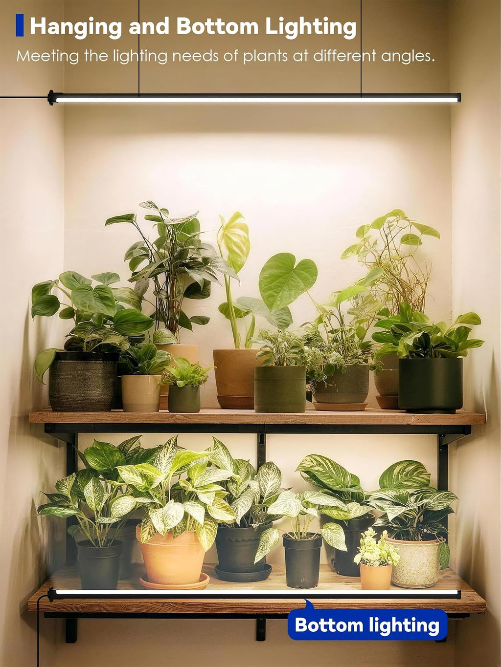 60in Standing Grow Light, Vertical Grow Lights for Indoor Plants | 36W Growing Lights with 3 Light Modes, 268 LEDs