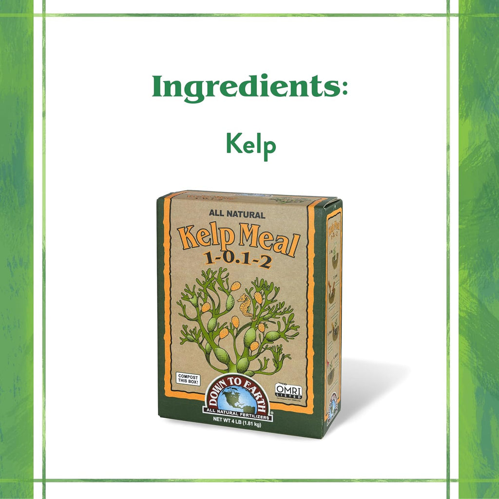 Down To Earth All Natural Fertilizers Organic Kelp Meal - 1-0.1-2, 4 lb | Plant Food with Seaweed (Ascophyllum