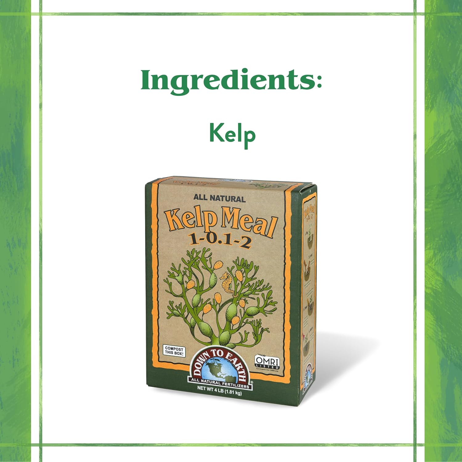 Down To Earth All Natural Fertilizers Organic Kelp Meal - 1-0.1-2, 4 lb | Plant Food with Seaweed (Ascophyllum