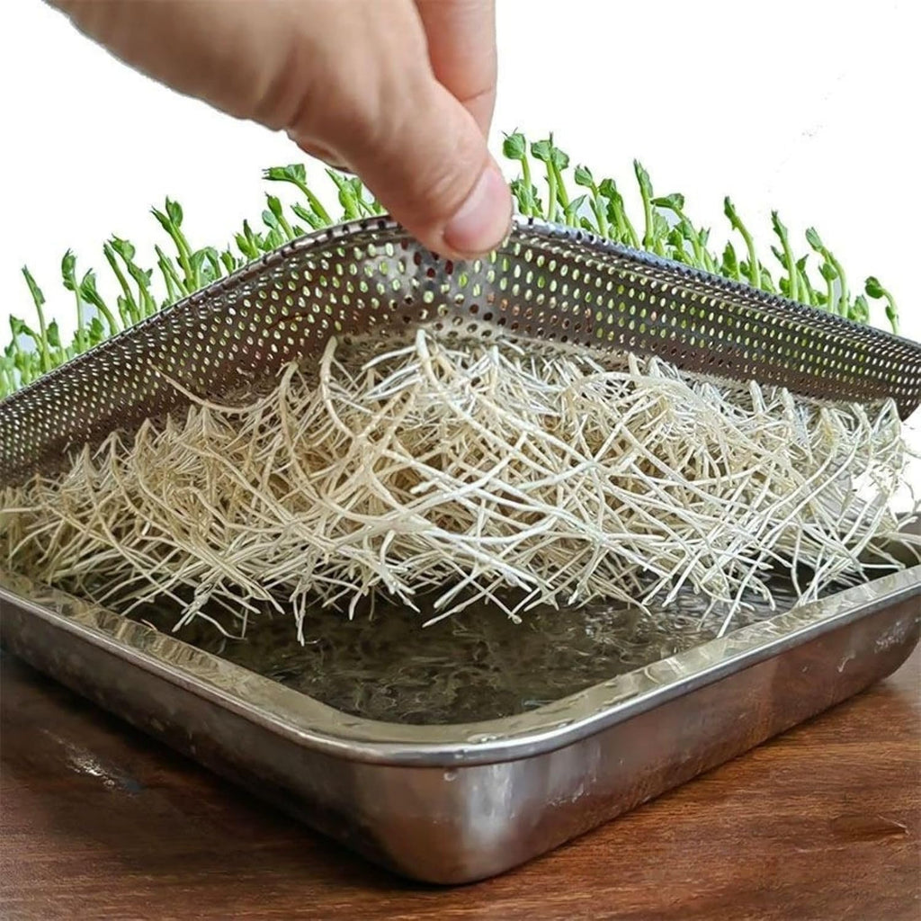 Stainless Steel Sprouting Trays -3pack,Seed Sprouting Kit, Microgreens Growing Kit, Plant Germination Tray with Filter