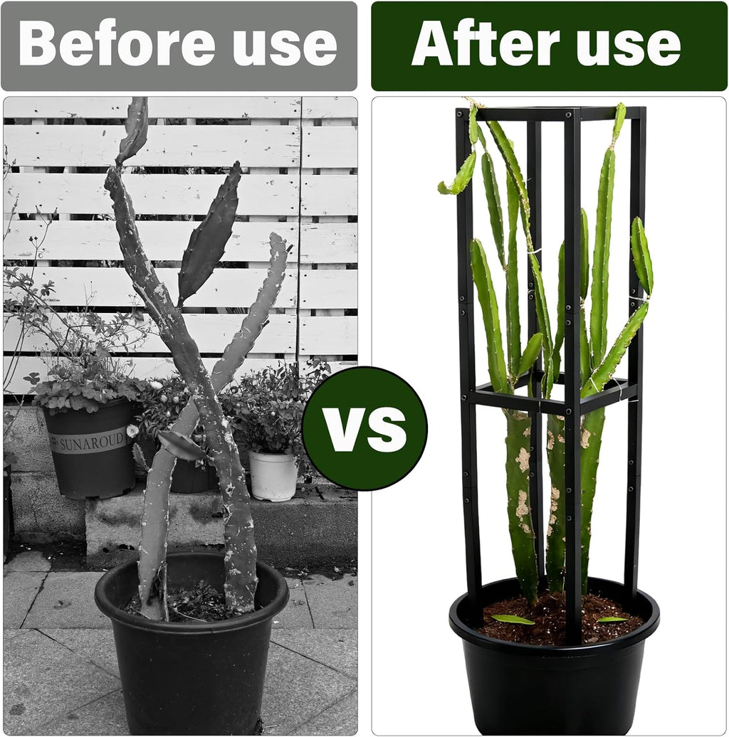48" Dragon Fruit Trellis Durable Metal Support for Climbing Plants | Premium Durable Plant Accessories for Gardeners