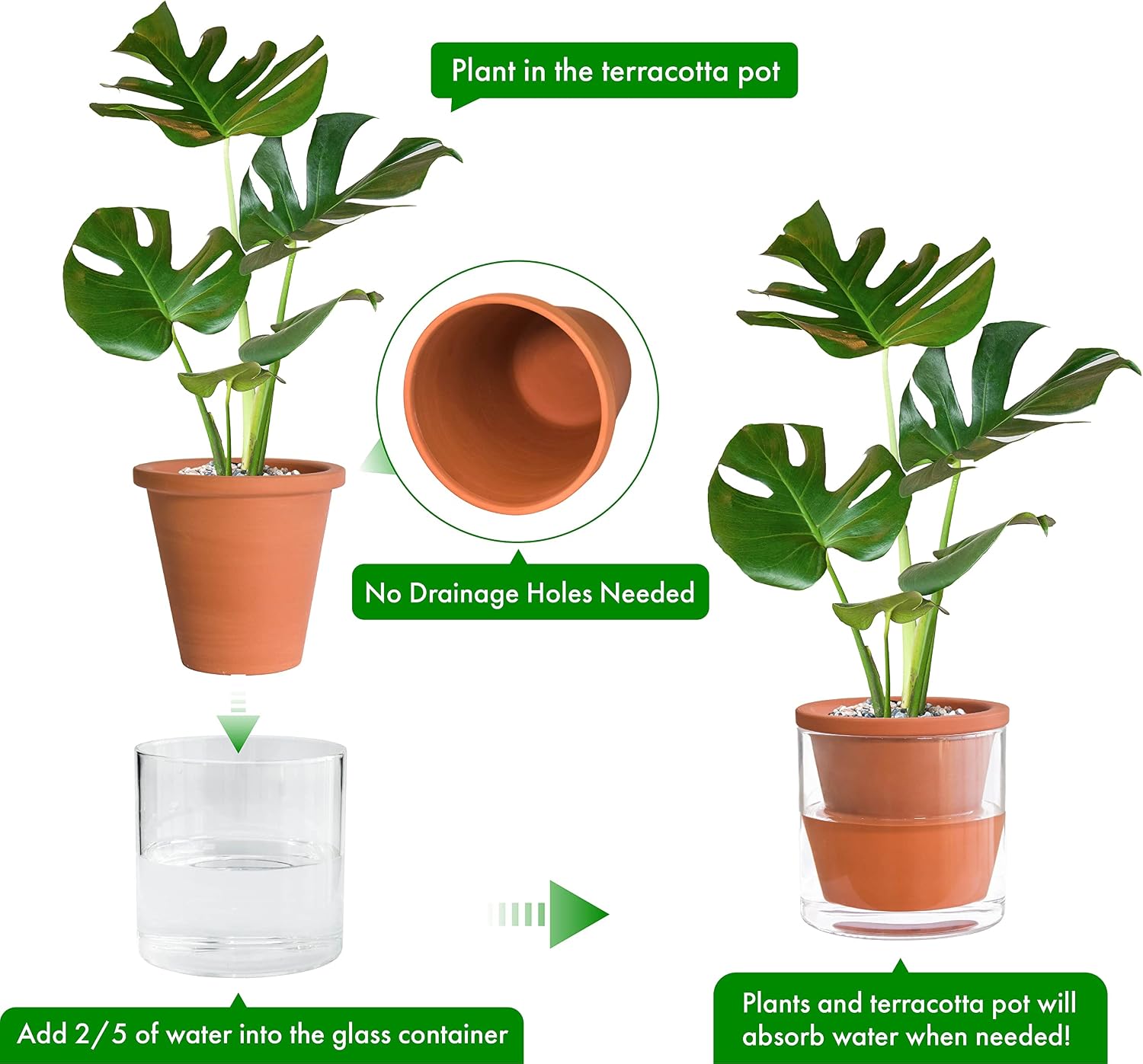 D'vine Dev Self Watering Terracotta Planter Pot, 6 in, 2-Pack, 37-Y-B-1 | Terracotta & Glass Design, Clear Water