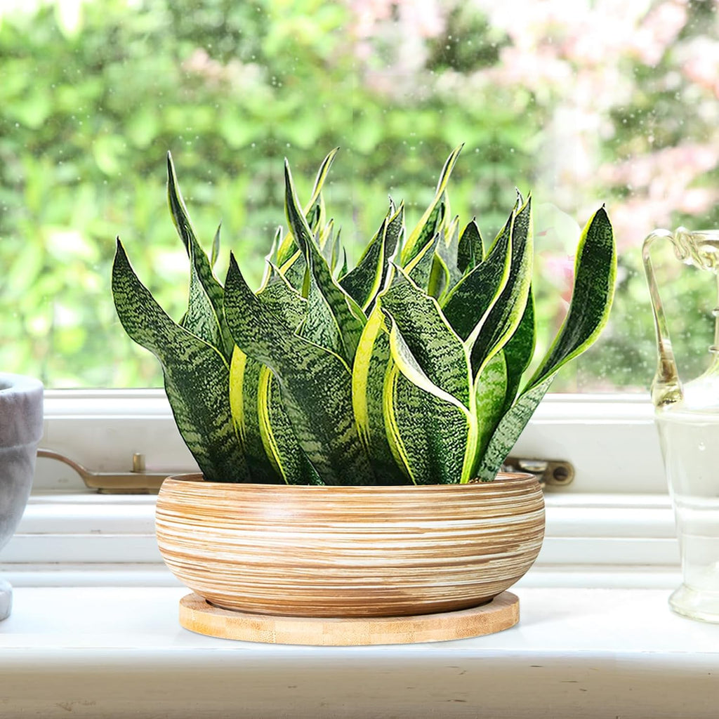ARTKETTY Succulent Pots - 7.5 Inch Large Plant Pots with Bamboo Tray | Ceramic Bonsai Pots with Drainage, Shallow