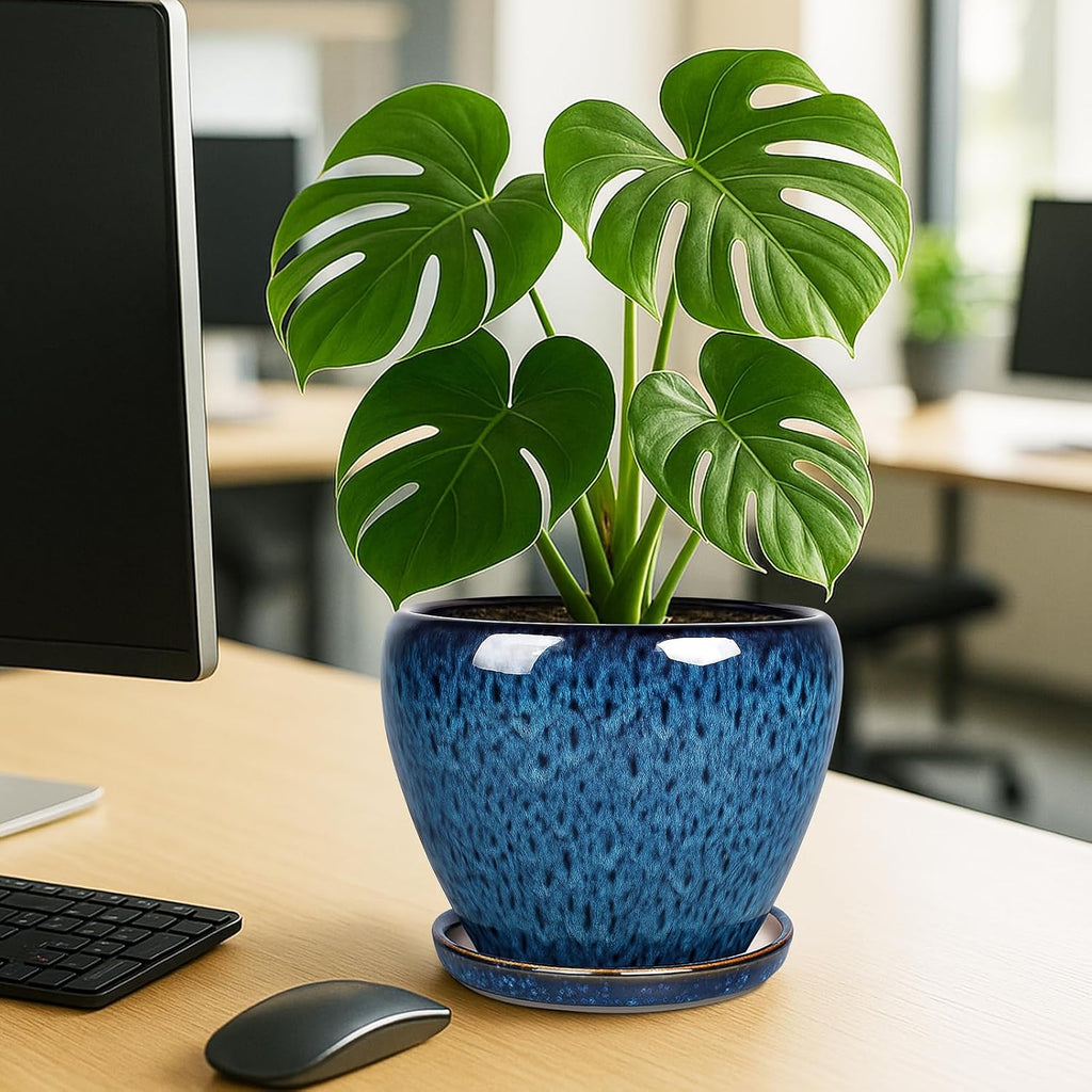 Deep Dream 8 Inch Plant Pots- Ceramic Pots for Plants with Drainage Hole and Saucer, Large Planter Pot for Indoor
