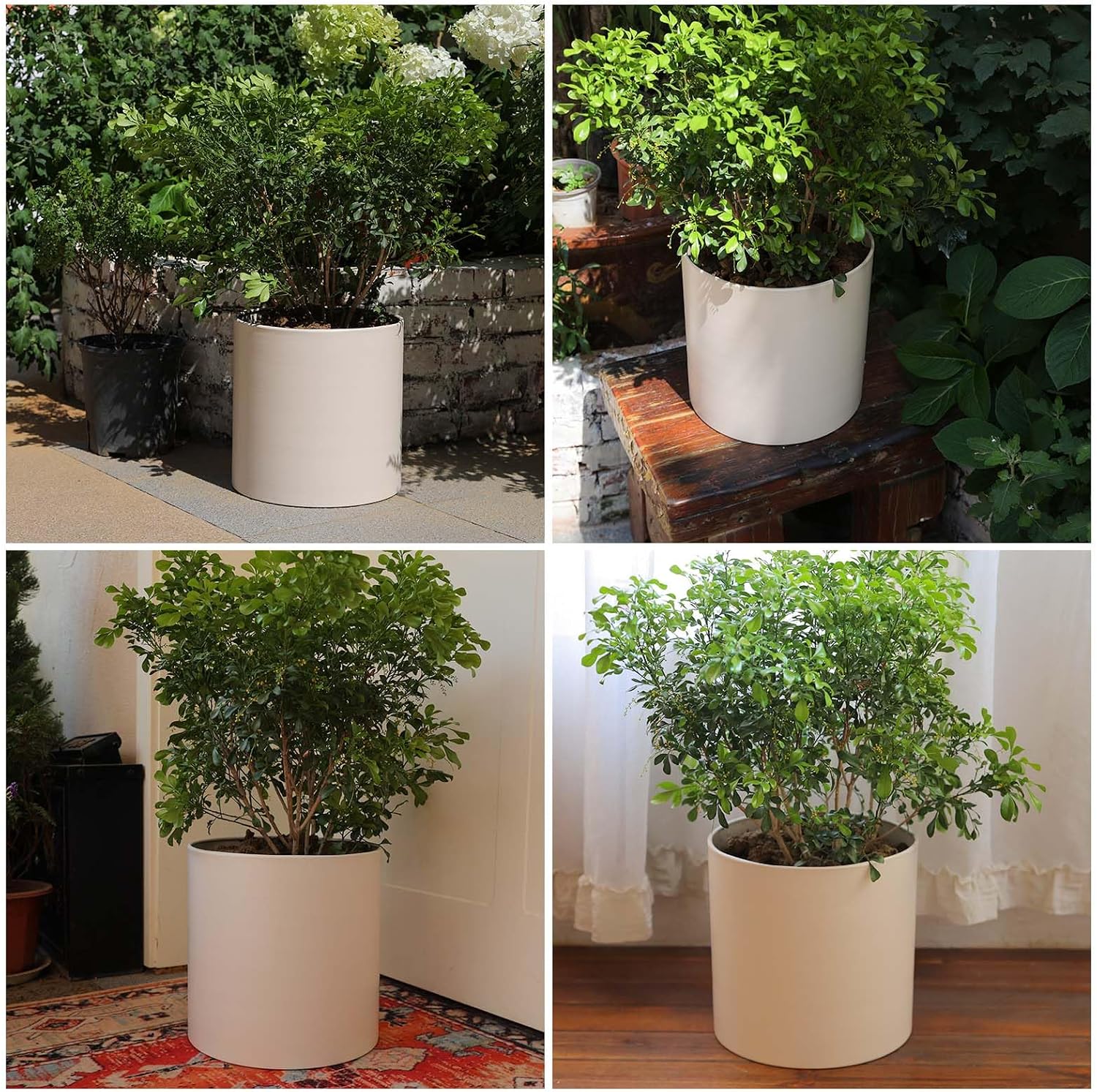 Beige Metal Plant Pot with Drainage Hole, 10 Inch Mid Century Pot Indoor Outdoor Planters for Succulents, Flowers &