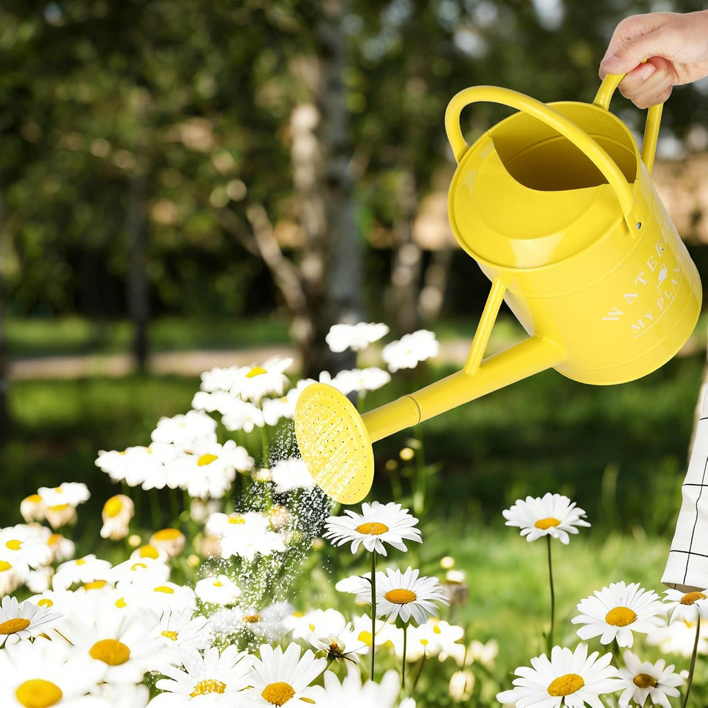 Garutom Galvanized Watering Can for Outdoor Indoor Plants, 1 Gallon Decorative Countryside Water Can with Removable