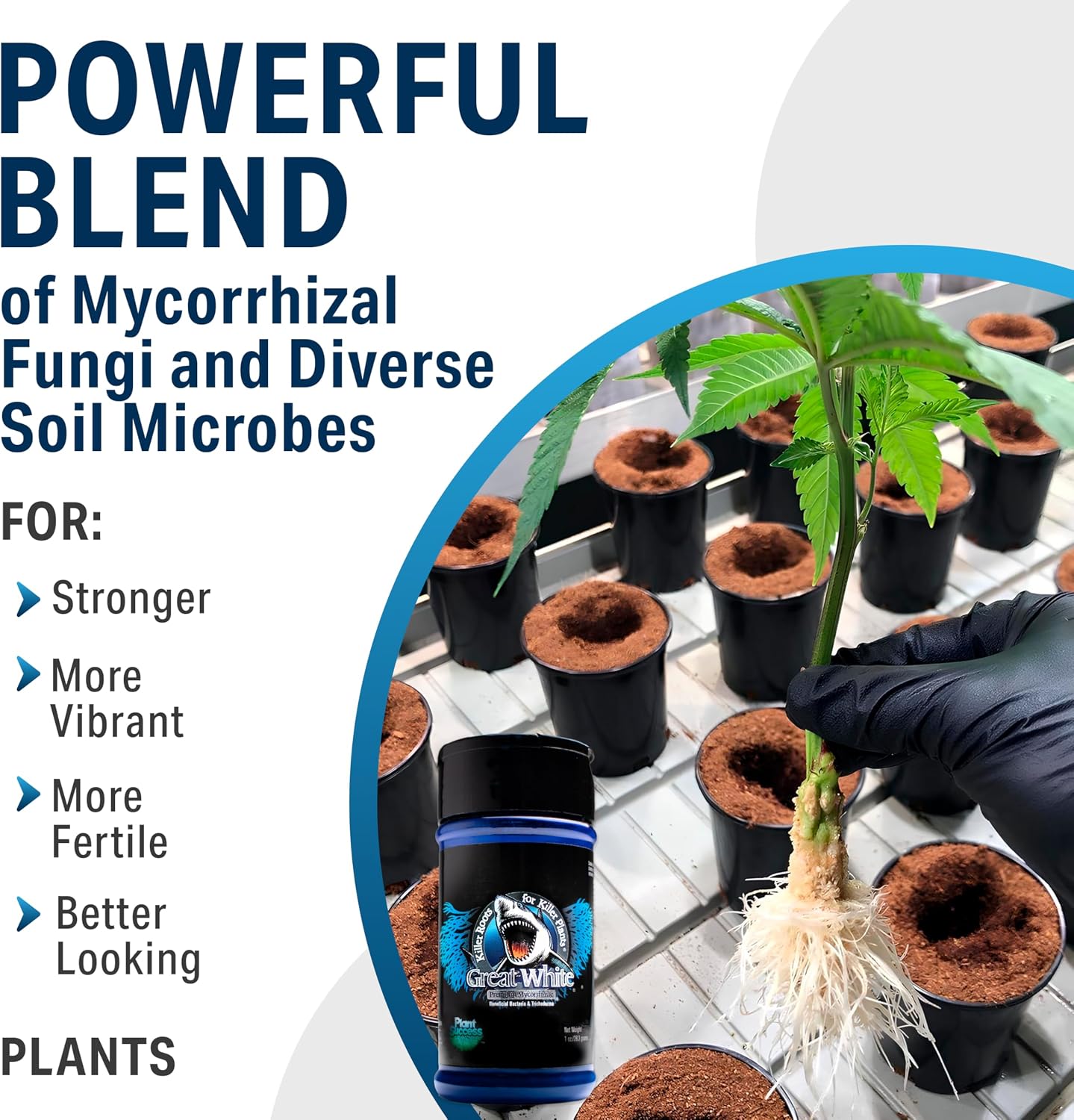 Great White Mycorrhizal Fungi 4 oz, Beneficial Bacteria for Plant Growth, Root Stimulator, Concentrated 3-in-1 Formula