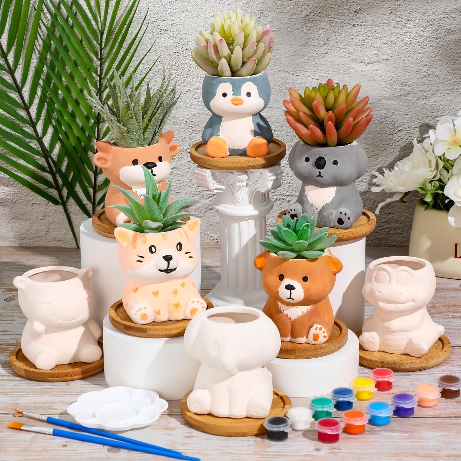 Hushee 12 Sets Ceramic Succulent Pots to Paint with Drainage | Paintable Succulent Plant Pots, 12 Styles, Small DIY