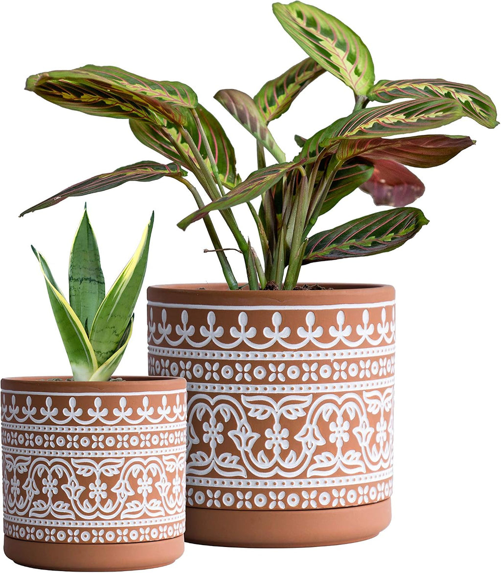 D'vine Dev 2-Pack Terracotta Pots, 4/6 in, Terra/White, 31-958-F-1 | Hand-Painted Pattern, Natural Clay Texture