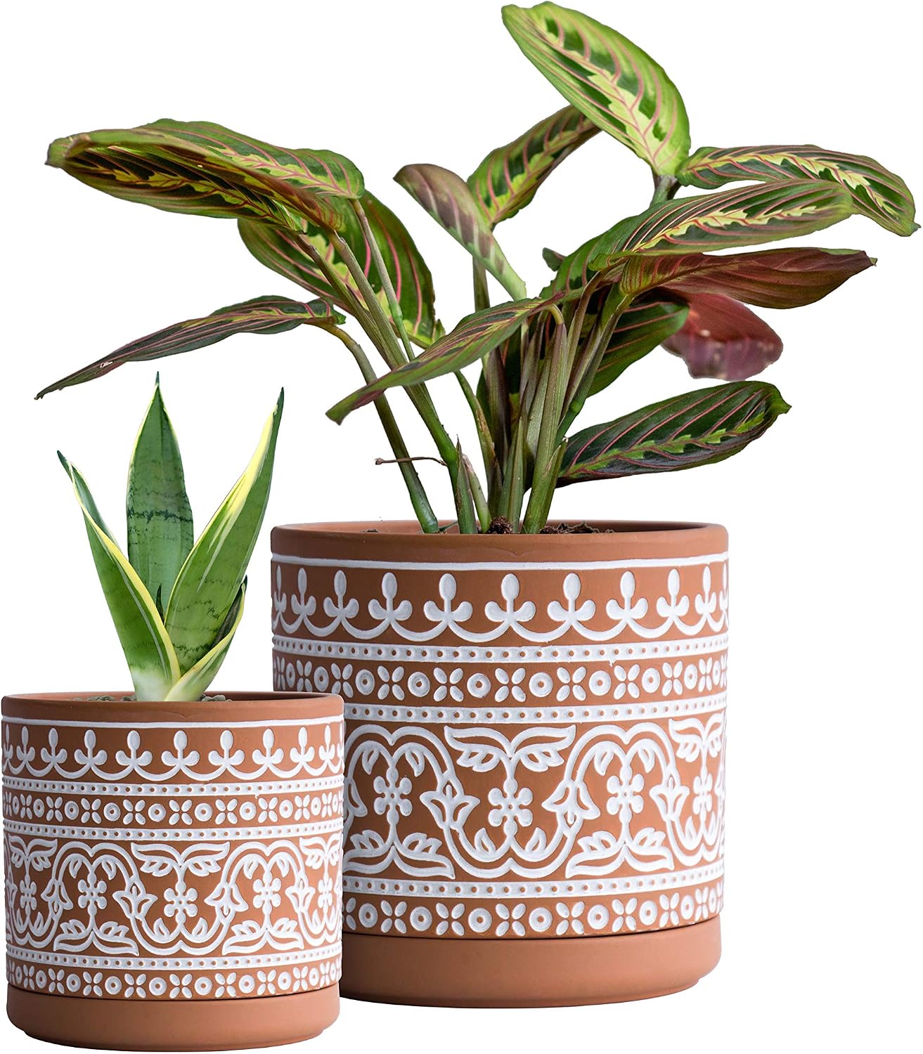D'vine Dev 2-Pack Terracotta Pots, 4/6 in, Terra/White, 31-958-F-1 | Hand-Painted Pattern, Natural Clay Texture