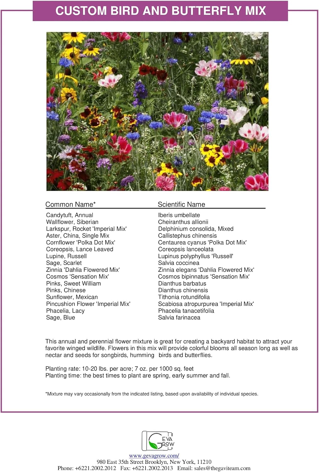 Bulk Wildflower Seed - Bird & Butterfly Garden Seed Mix | Bulk 300,000+ Annual & Perennial Flower Seeds for Planting